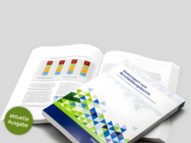 Die Titelseite des Datenreports zum Berufsbildungsbericht 2024